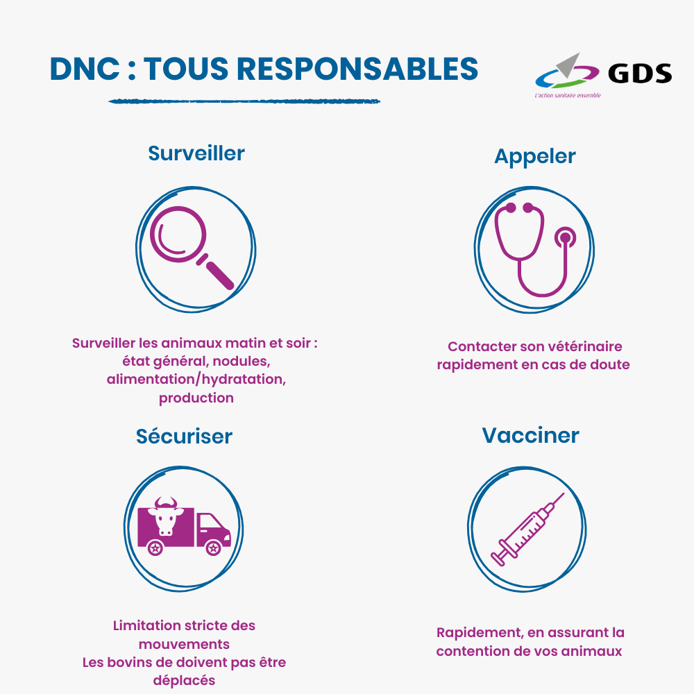 Illustration de l'actualité